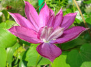 DSC08534