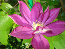 DSC08535
