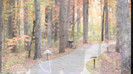 Demi Lovato - Tiffany Thornton and Chris Wedding 3403