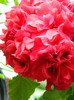 DSCN0302