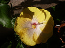 P1130267