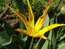 Pasarele.2012 025