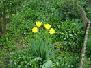 Pasarele.2012 030
