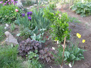 Pasarele.2012 045