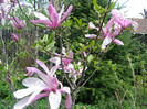 Pasarele.2012 028