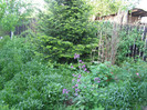 Pasarele.2012 058