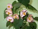 P1390056