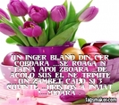 6bba3f869b1dea60716d067178b8962d