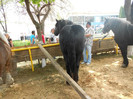 DSCN2002