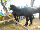 DSCN2003