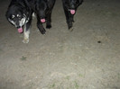 romania aprilie 2012 041
