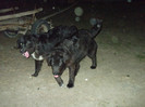 romania aprilie 2012 040