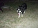 romania aprilie 2012 043