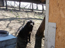 romania aprilie 2012 011