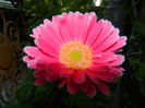 DSCN4477