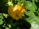DSCN4567