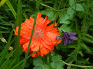 DSCN4619