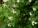 DSCN4627
