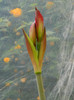 DSCN4635