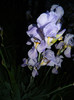 DSCN4706