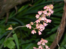 DSCN4717