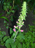 DSCN4724