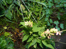 DSCN4752