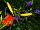 DSCN4755