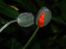 DSCN4756