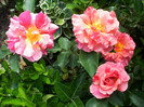 P5020350
