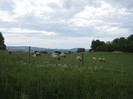oile lui ritzberger -herzogsdorf