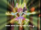 Winx convergenta