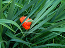 DSCN4803