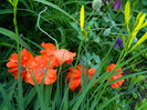 DSCN4804