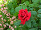 DSCN4808