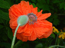 DSCN4813