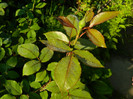 DSCN4820