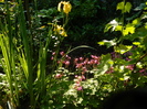 DSCN4823