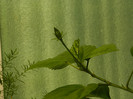 DSCN4830