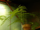 DSCN4833