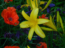 DSCN4876