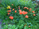 DSCN4882