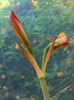 DSCN4887