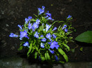 DSCN4915