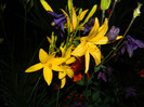 DSCN4959
