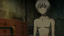 shion 14
