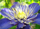 "Multi Blue", 10.05.2012