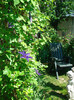 DSC08771