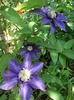 DSCN2415
