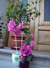 DSC05240